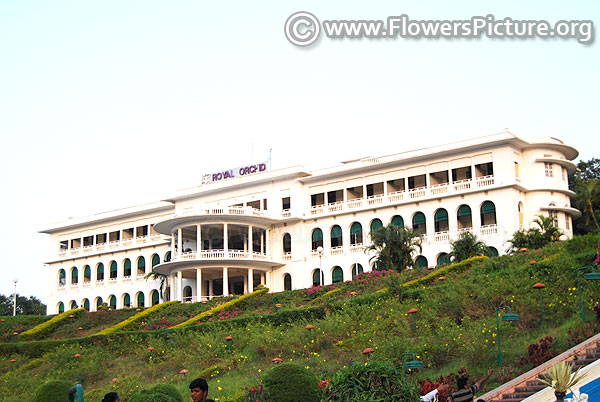 Mysore palace golden tower