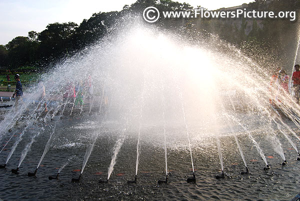 Brindavan garden water fountain