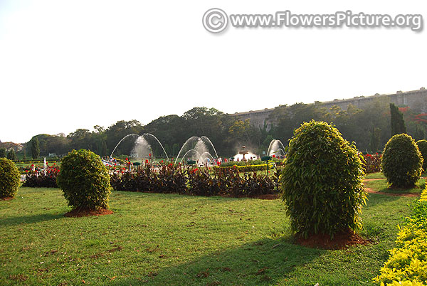 Krishna raja sagara dam garden
