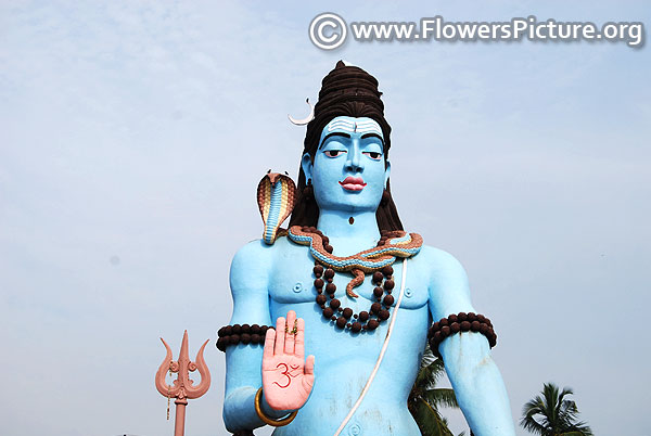 Nanjangud lord shiva