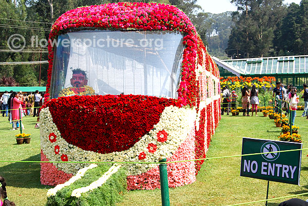 Flower train-Ooty flower show 2014