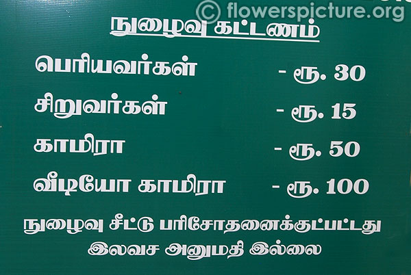 Flower taj mahal with 1 lakh white roses