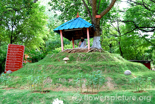 Thiruvalluvar statue